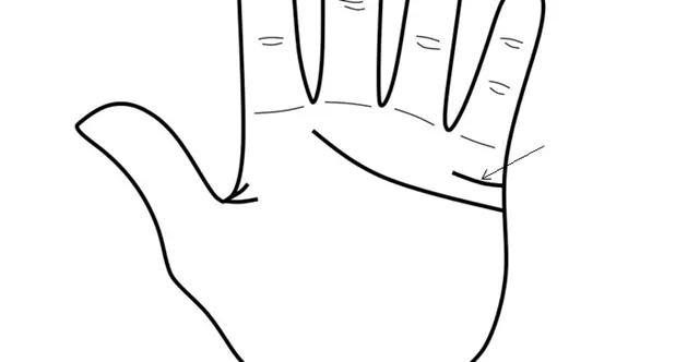 Palmistry Encyclopedia - marriage line